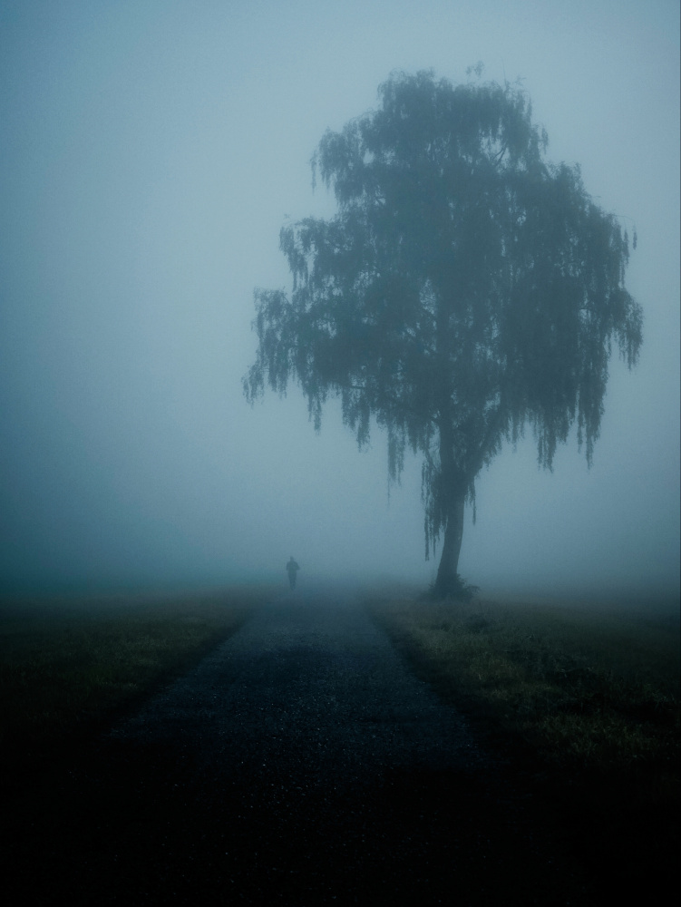 Loneliness von Renate Wasinger