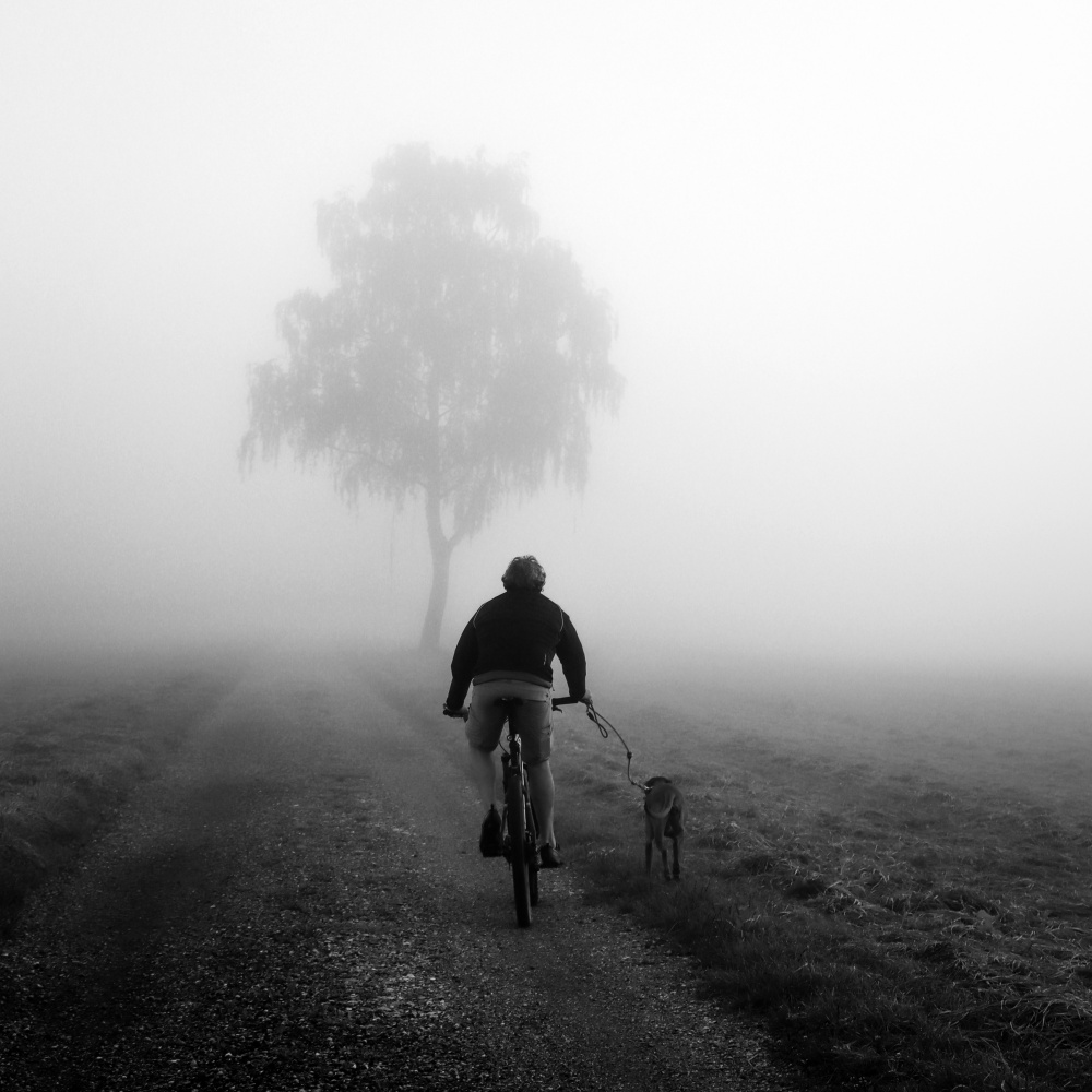 morning round von Renate Wasinger