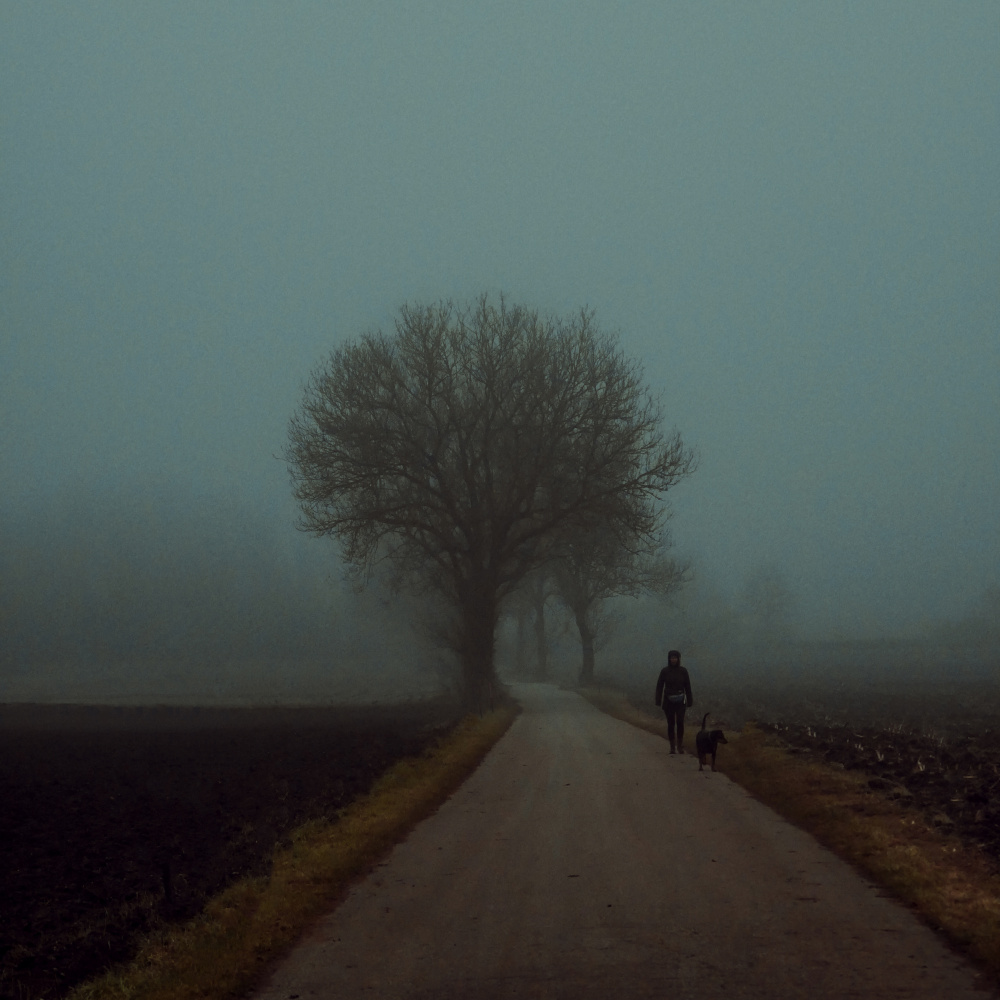 morning walk von Renate Wasinger