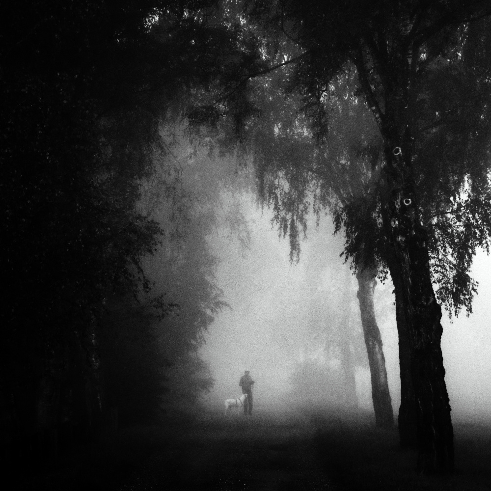 morning walk von Renate Wasinger