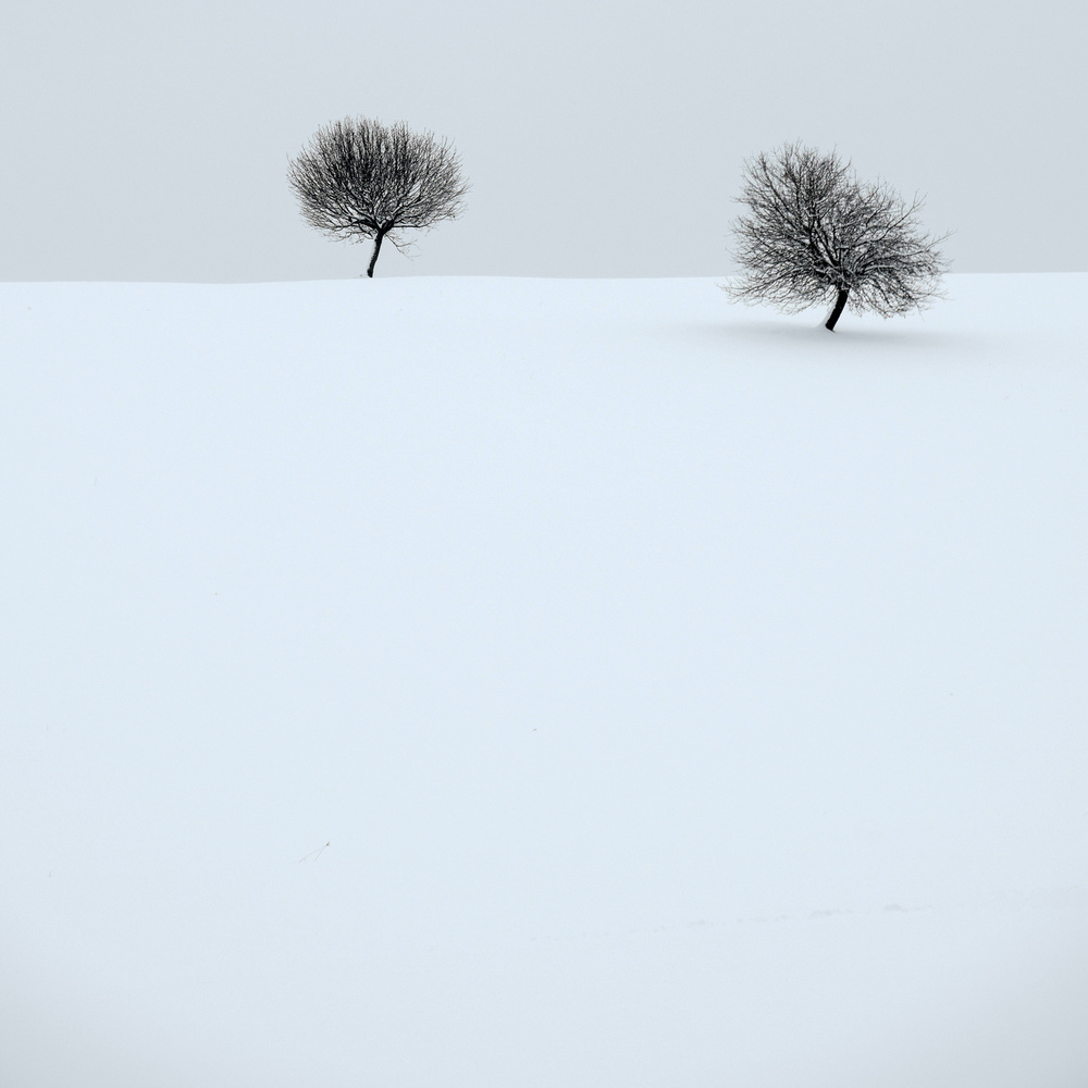 quiet winter von Renate Wasinger