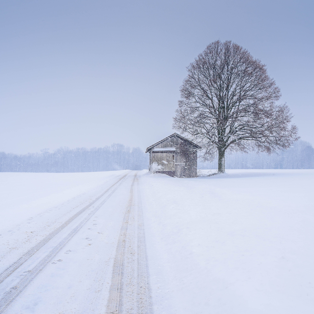 silence von Renate Wasinger