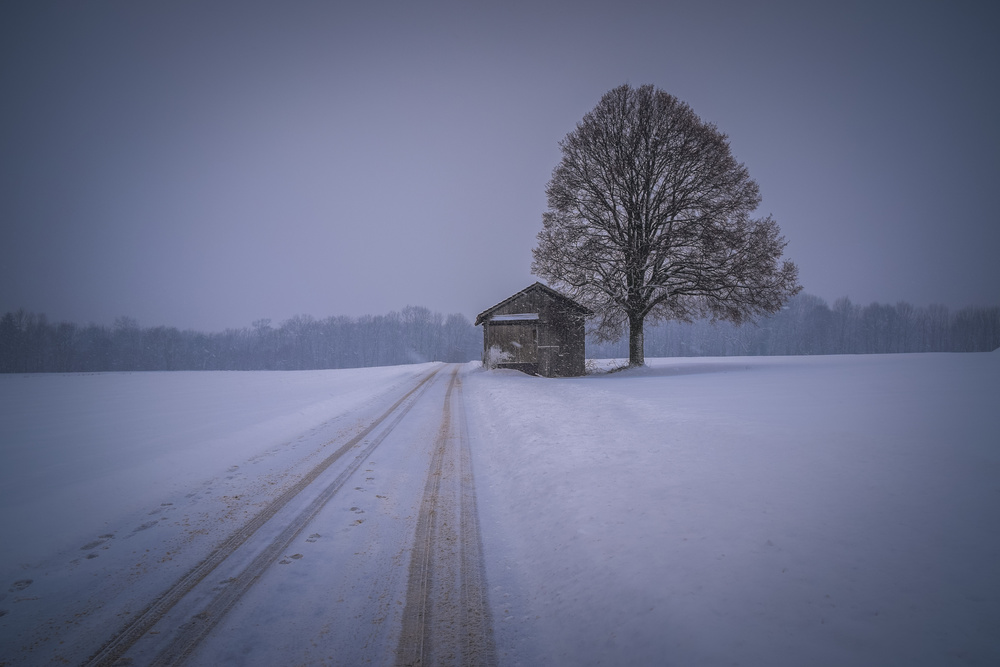 silence von Renate Wasinger