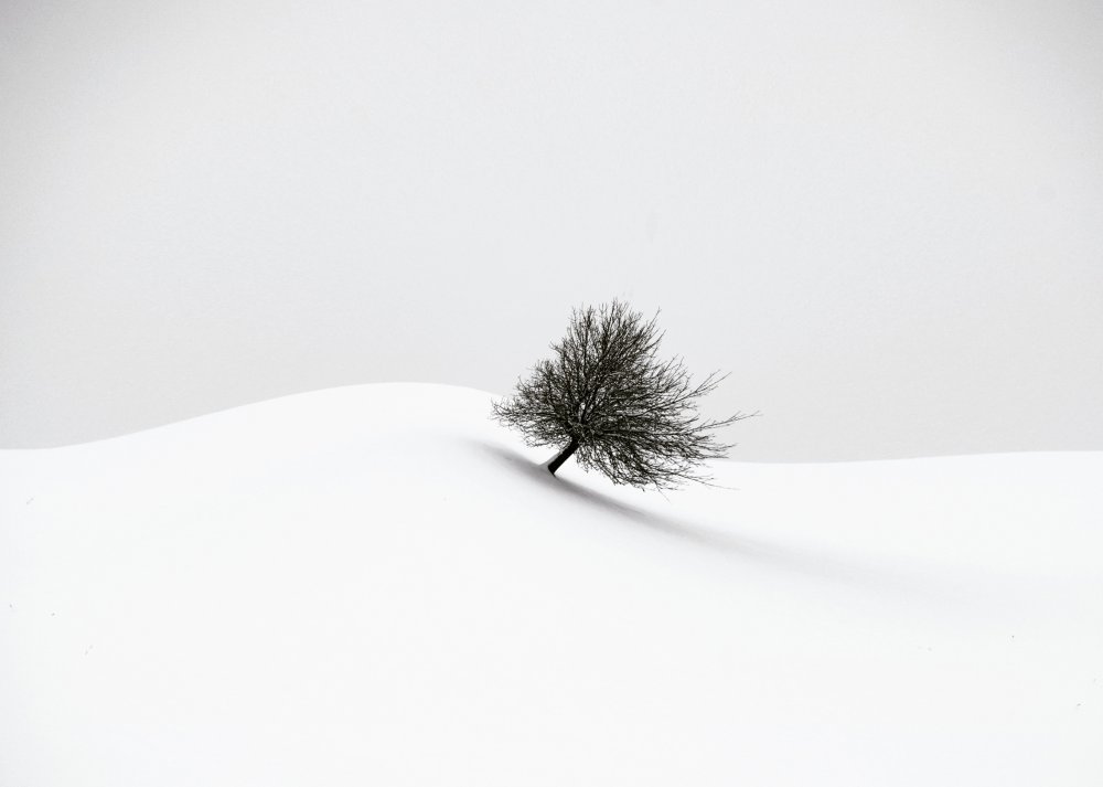 white winter von Renate Wasinger