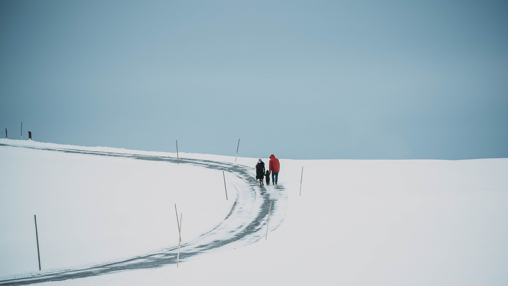 winter walk von Renate Wasinger