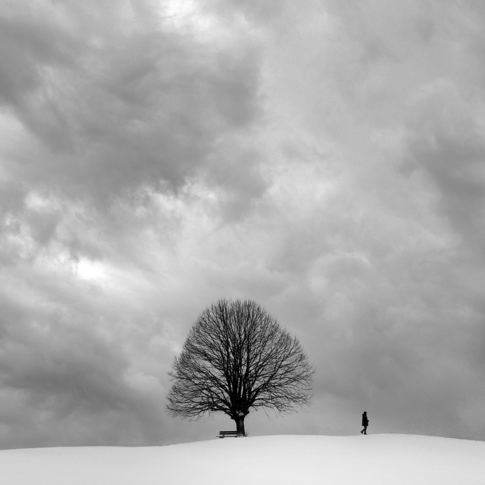 winter walk von Renate Wasinger