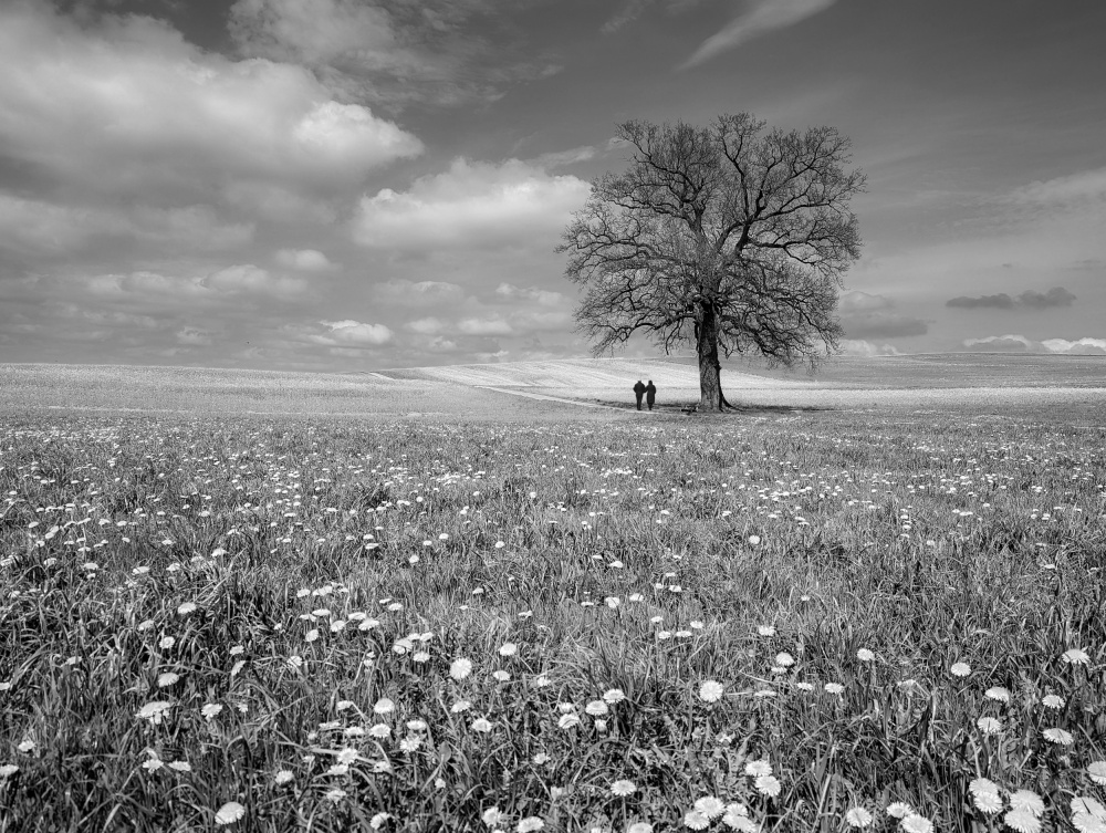 Togetherness von Renate Wasinger