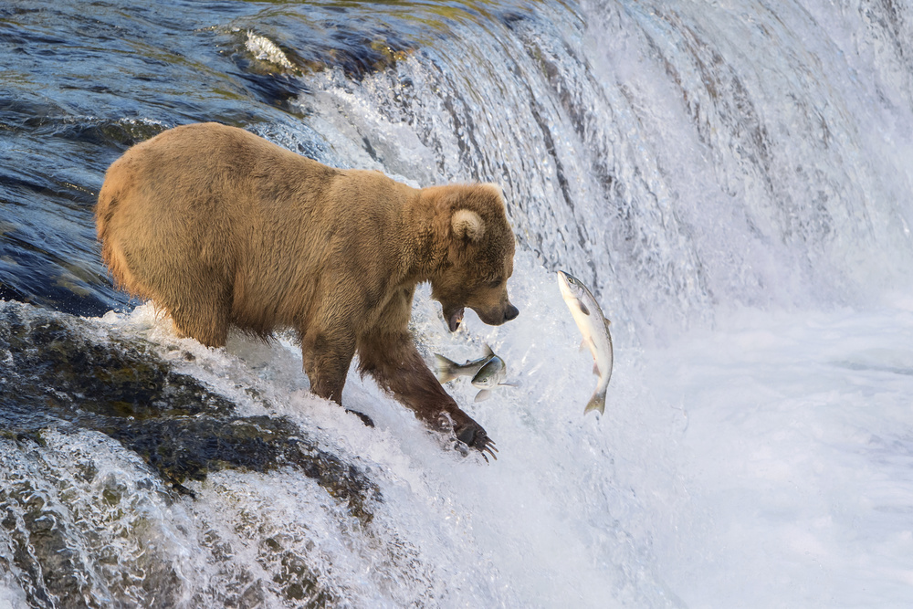 Fishing on the Edge von Renee Doyle