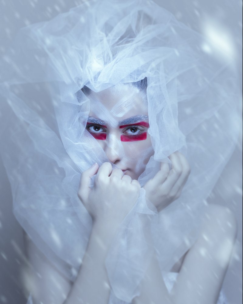 Snow queen von Reza Mohammadi