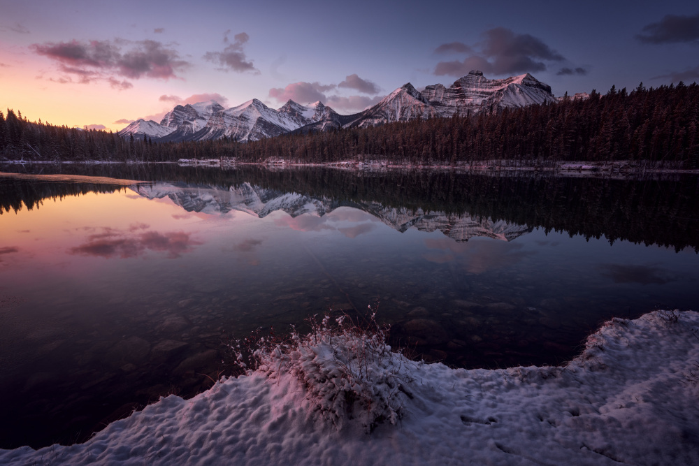 Canadian landscape von Ricardo Gayan