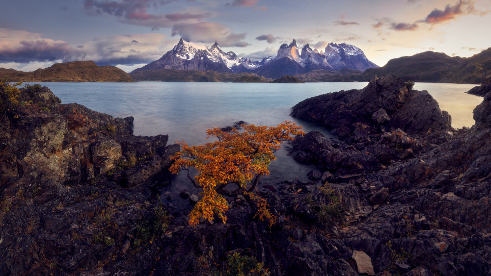 Patagonia von Ricardo Gayan