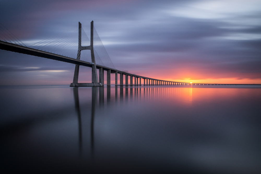 A Brand New Day von Ricardo Mateus