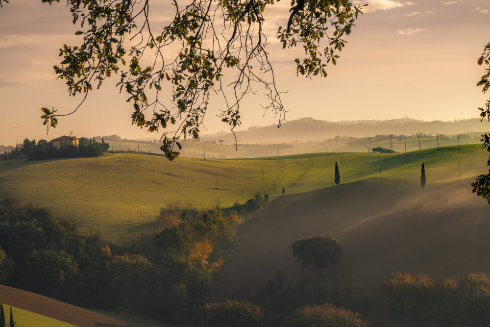 My Hills von Riccardo zappelli