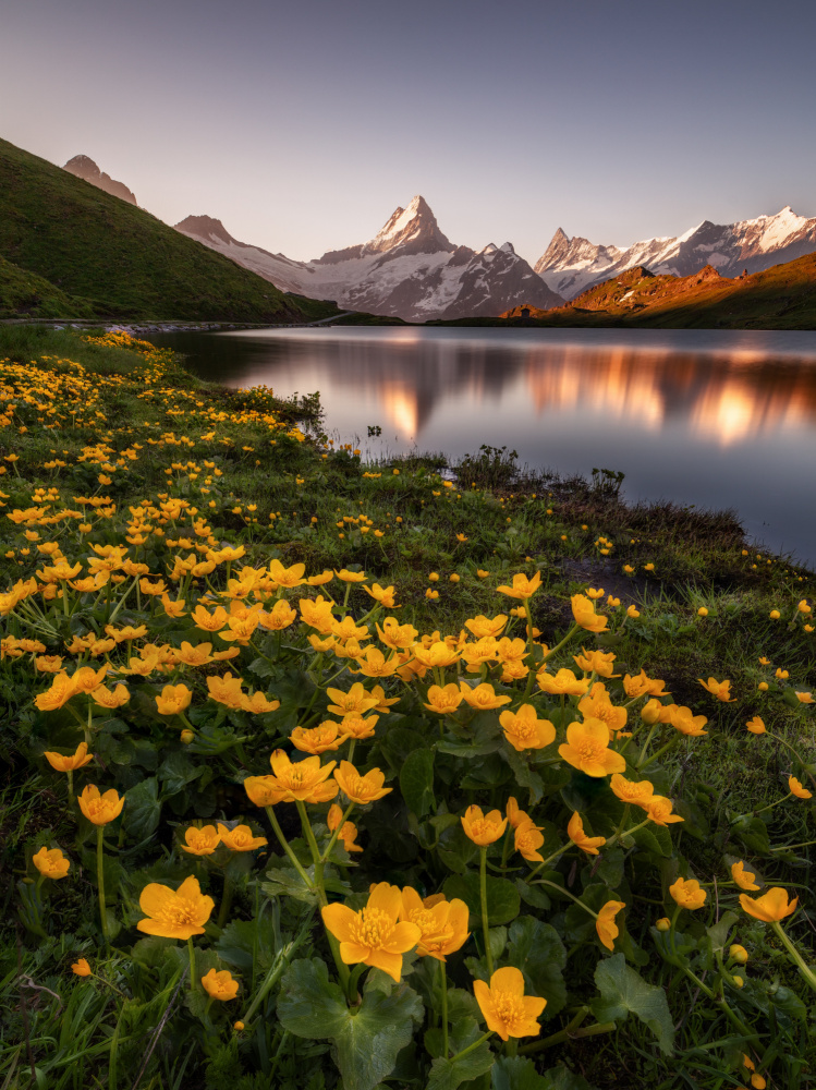 Lakeside Flowers von Richard Beresford Harris