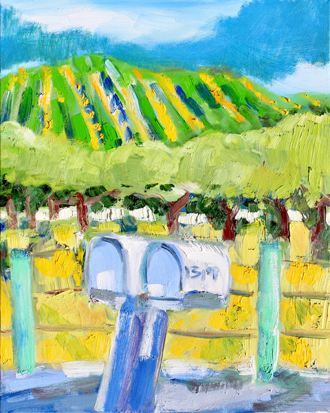 Mailboxes and Vineyard, Napa von Richard Fox