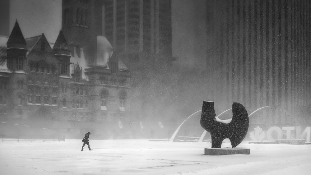 Snow Storm in Toronto von Richard Huang