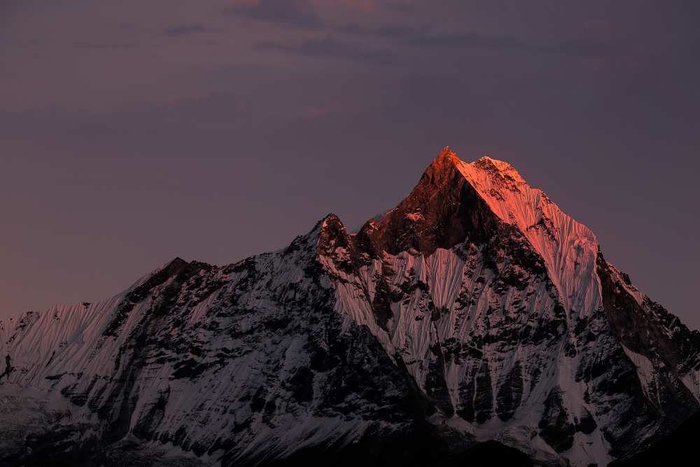 Machhapuchhare. Machapuchare von Richard Le Manz