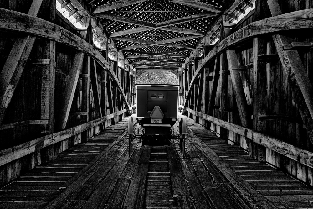 Carriage on Covered Bridge von Richard Reames