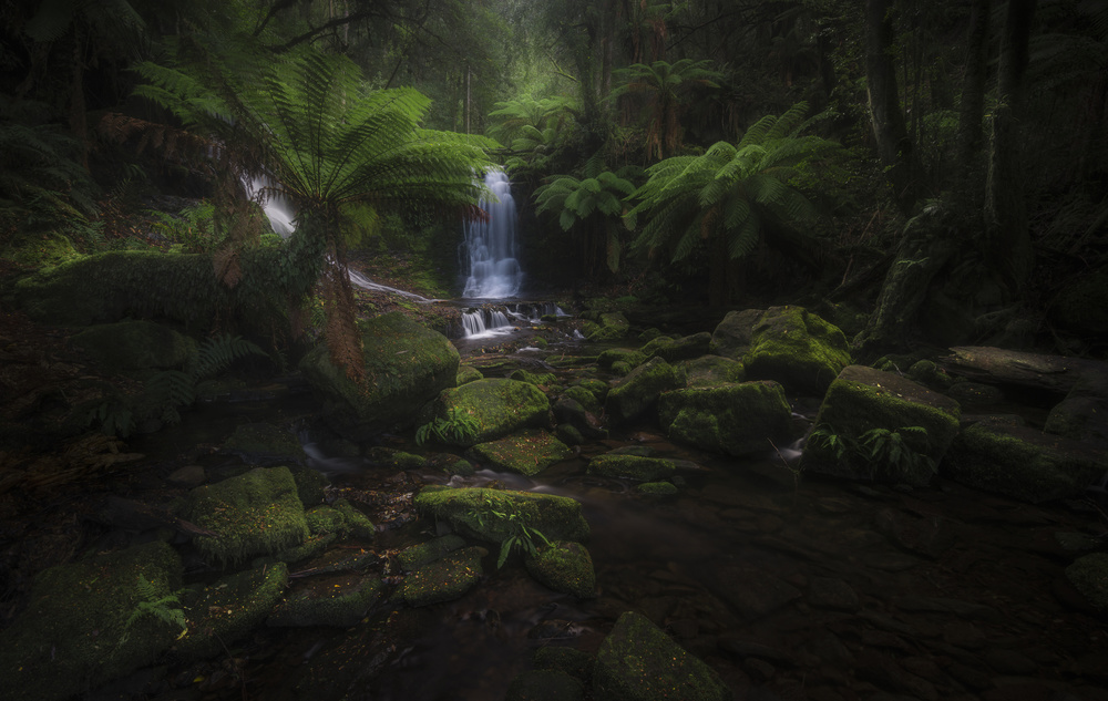 Horseshoe Falls von Richard Vandewalle