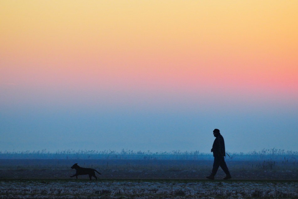 lonely winter afternoon dog walk von Riekus Reinders