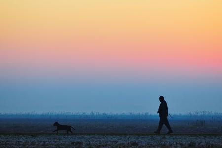 lonely winter afternoon dog walk