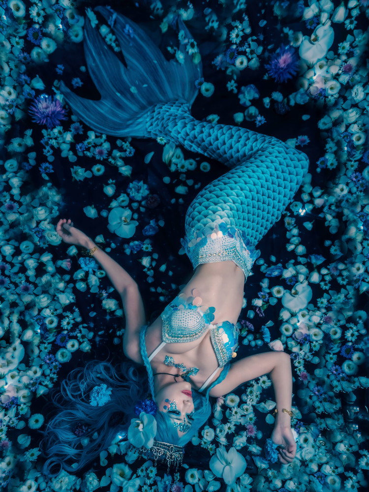 A mermaid dreaming of a starry sky von Rihito(Licht)