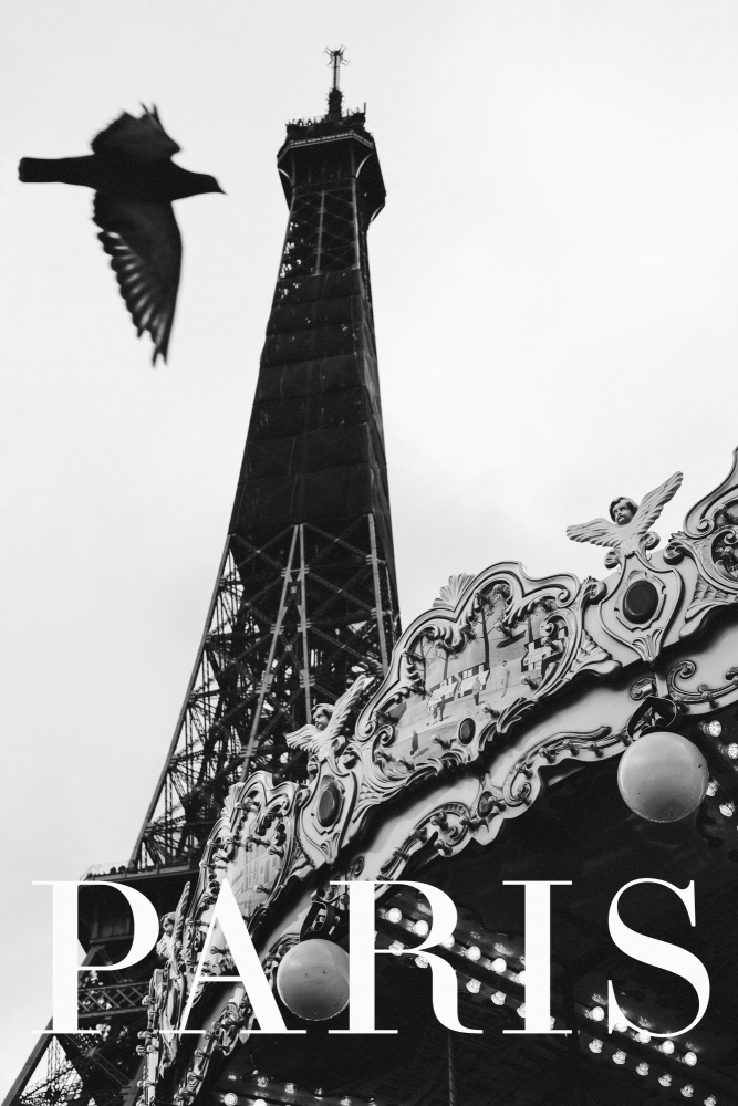 Paris Dove von Rikard Martin