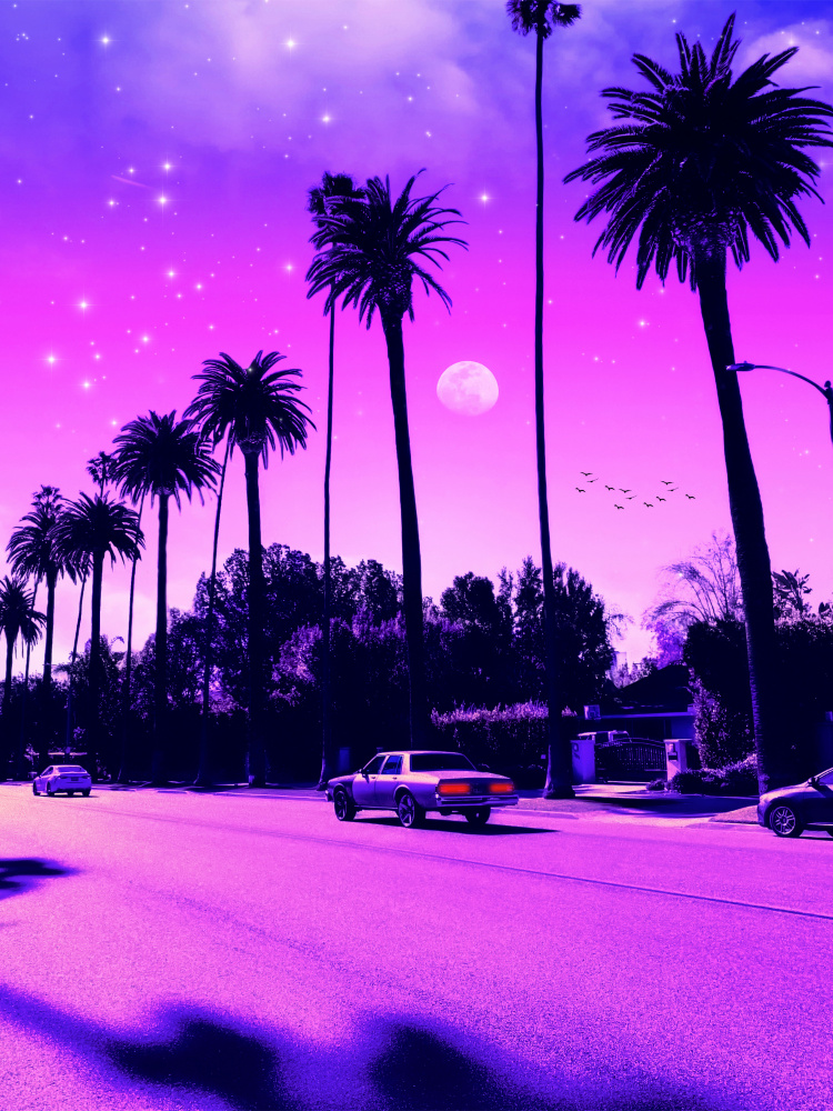 Aesthetic Cali Drive von Ritvik takkar