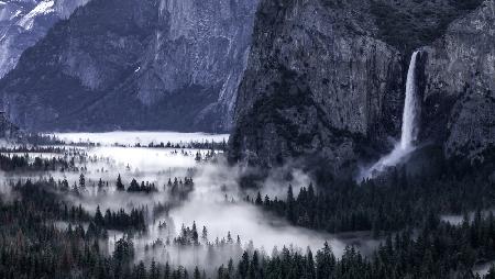 Spring In the Yosemite Valley