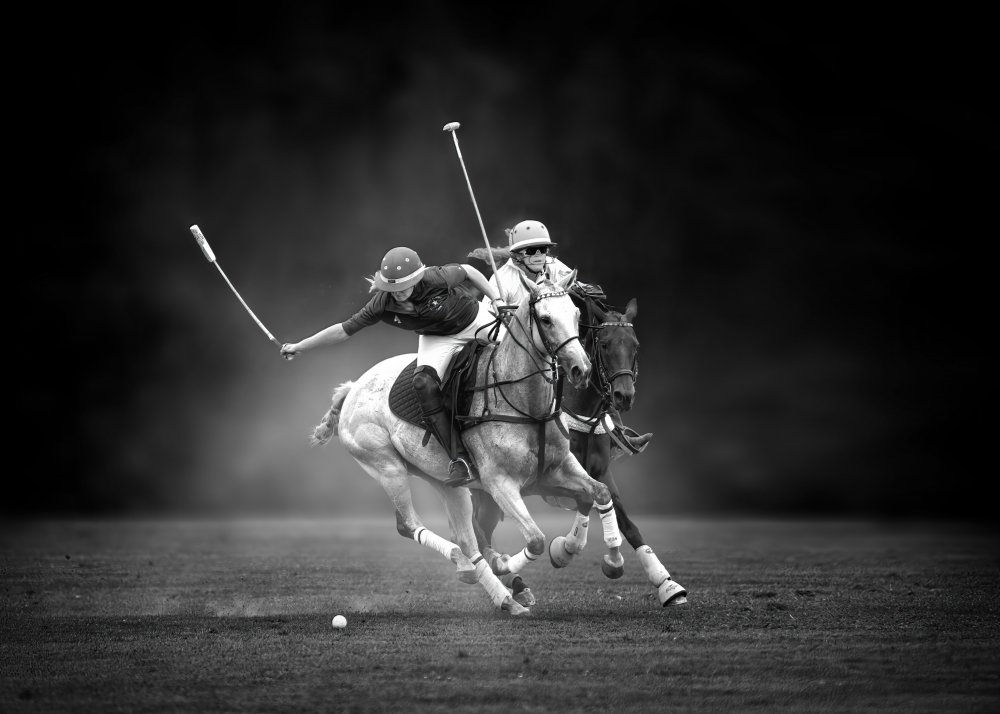 Horseback Shooting von Rob Li