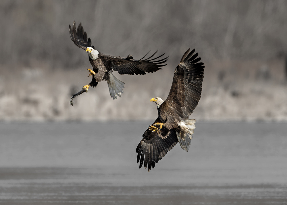 Dance in the air von Rob Li