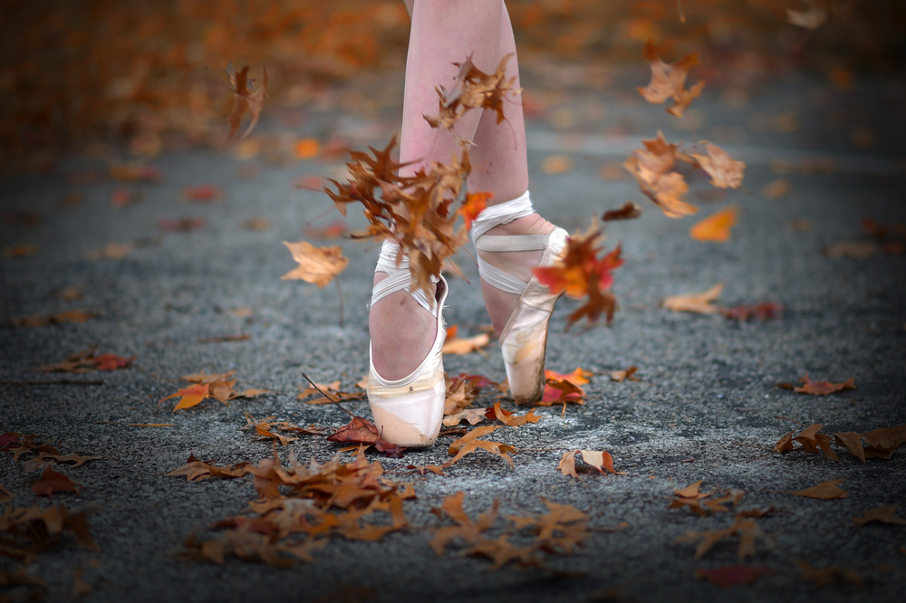 Dance in the fall wind von Rob Li