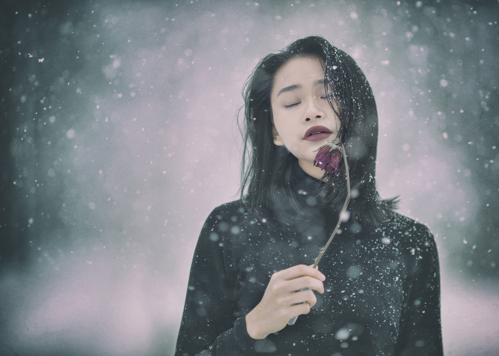 Winter Dream von Rob Li