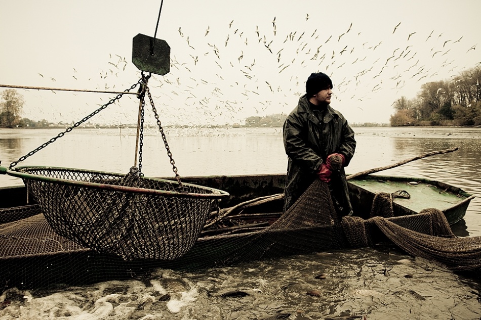 Fishing von Robert Adamec