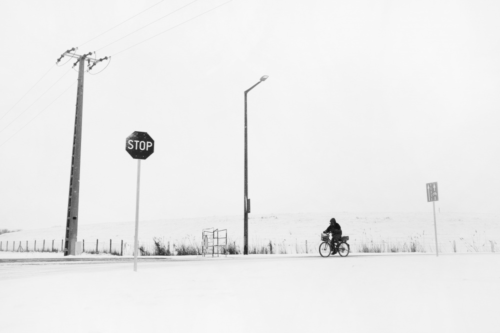 Struggling with the elements von Robert Beliczay