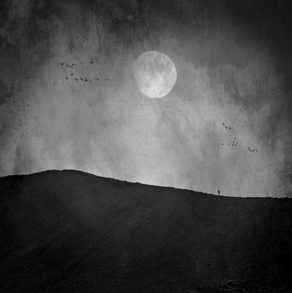 Moon Night von Robert Fabrowski