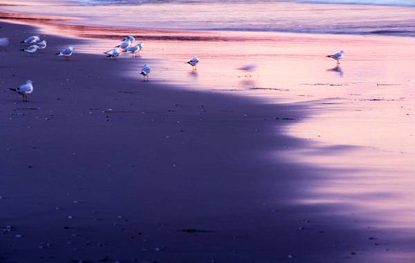 Morgendämmerung am Meer in Binz von Robert Kalb