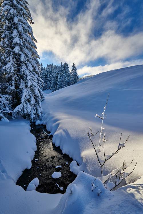 Romantische tiefverschneite Winterlandschaft mit Tanne und Bach  von Robert Kalb