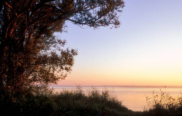 Sonnenaufgang im Rheinspitz, Bodensee von Robert Kalb