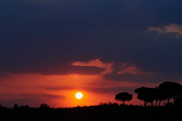 Sonnenaufgang über eine Umbrische Landschaft mit Pinien von Robert Kalb