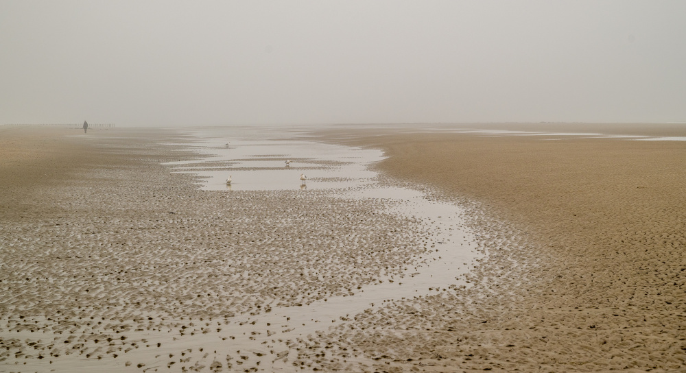 Watch of the seagulls von Robert Stienstra