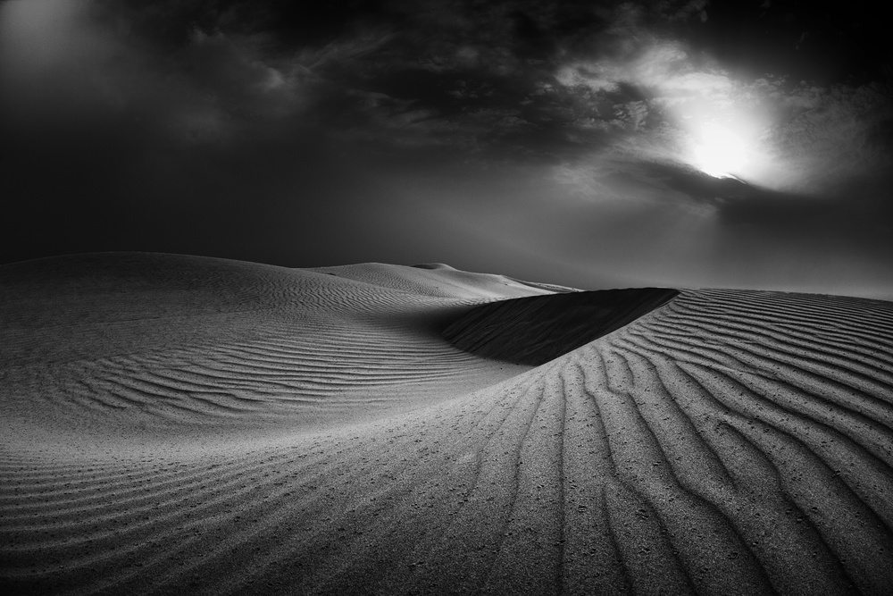 Desert Rain von Robert Work