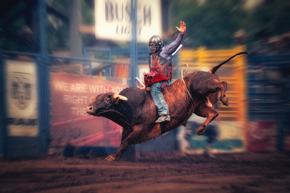 Bull Riding von Robert Zhang