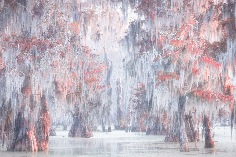 Atchafalaya River von Roberto Marchegiani