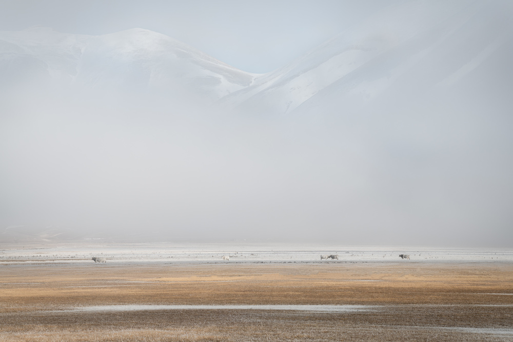 Bucolic Landcape von Roberto Marchegiani