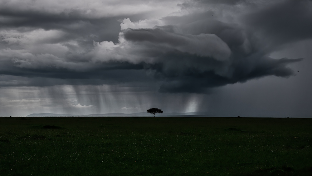 Storm is coming von Roberto Marchegiani