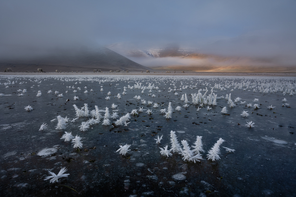 Winter bucolic landscape von Roberto Marchegiani