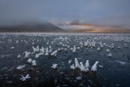 Winter bucolic landscape