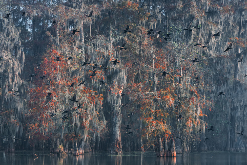 Louisiana von Roberto Marchegiani