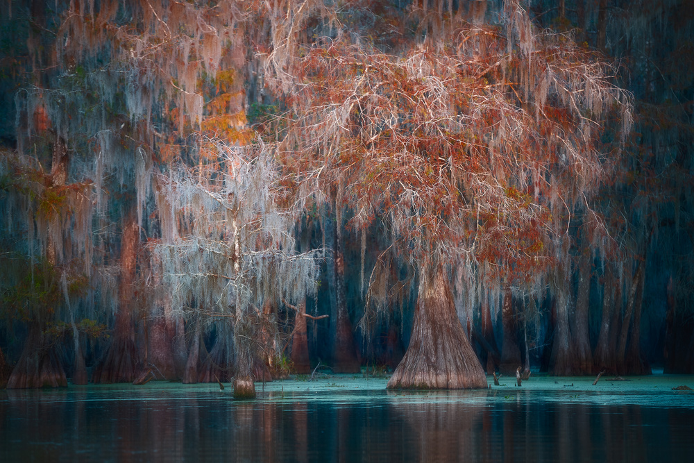 Louisiana von Roberto Marchegiani